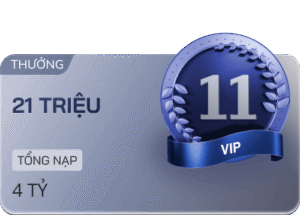 vip 11